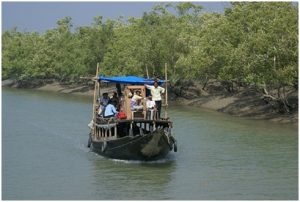 Sundarban