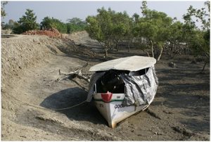 Sundarban