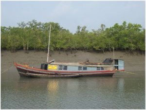 Sundarban