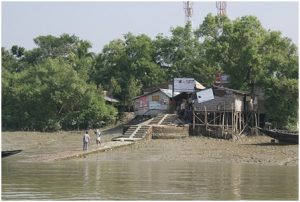 Sundarban