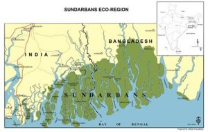 Sundarban