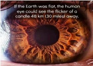 human eye