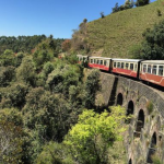 Toy Train RIde