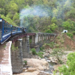 Toy Train Ride