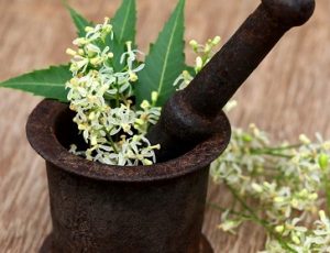 Natural Remedies,Diseases & Conditions,Neem,Health benefits