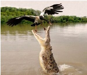 Holiday Destinations