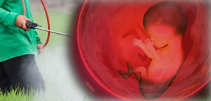 Avoid Pesticides