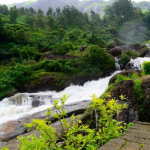 Places In Munnar