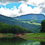 Places In Munnar