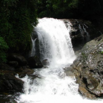 Places In Munnar