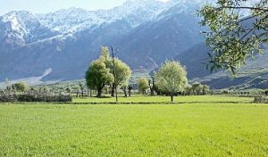Suru-Valley-in-Kargil-Ladakh-Anwaraj-wikimedia