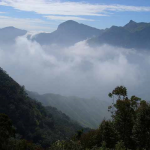 Places In Munnar