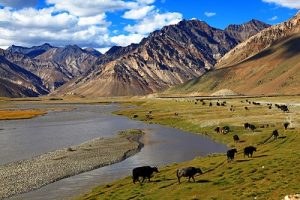 Zanskar-Valley-India-17