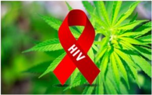 marijuana could be better for your health