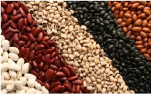 Foods To Shrink Your Belly