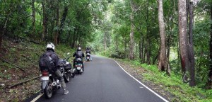 Chalakudy to Valparai, Western Ghats