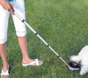 Dog Poop Scooping- Business,strange business idea