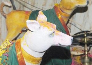 Dog Temple – Channapatna, Karnataka