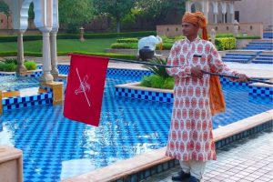 No Bird Zone Flag waver