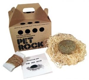 Pet Rock-Business,strange business idea