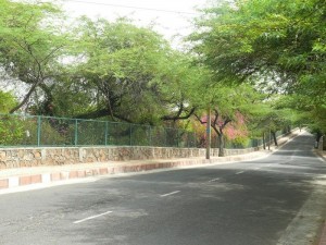 Ridge Road, North Campus- Romance,Delhi,Romantic Place, Date