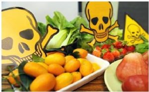everyday food items