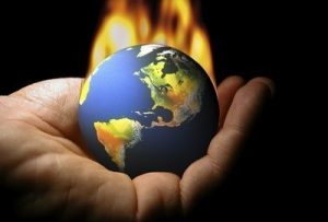 climate Change,energy,environment,Paris climate summit,pollution,wildlife