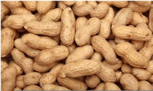 everyday food items