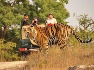 Bandhavgarh