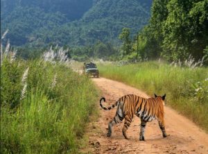 Bandhavgarh