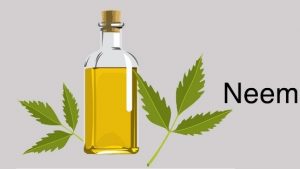 Natural Remedies,Diseases & Conditions,Neem,Health benefits