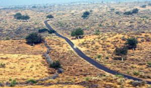 Road trips in India