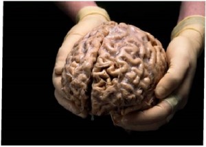 Popular misconceptions