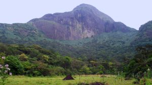 Trivandrum 3