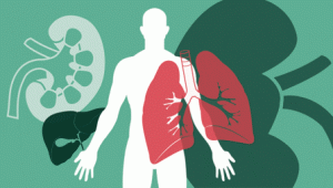 Bengaluru,Accident,Brain Dead,Transplant, Donate Organs,Donated