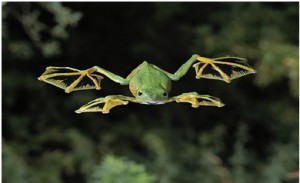 Strangest Body features