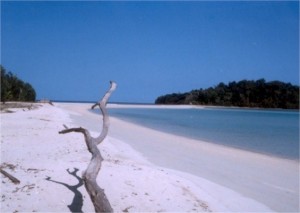 Beaches Of Vishakhapatnam