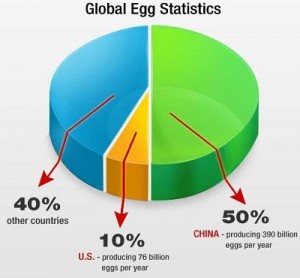 Facts about Eggs,Egg,Protien