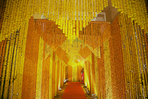 Wedding,India,Wedding Planners