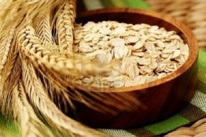 10 Foods, Vegetarian, Protein Rich Food,Protein