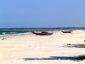 Tarkarli beach9